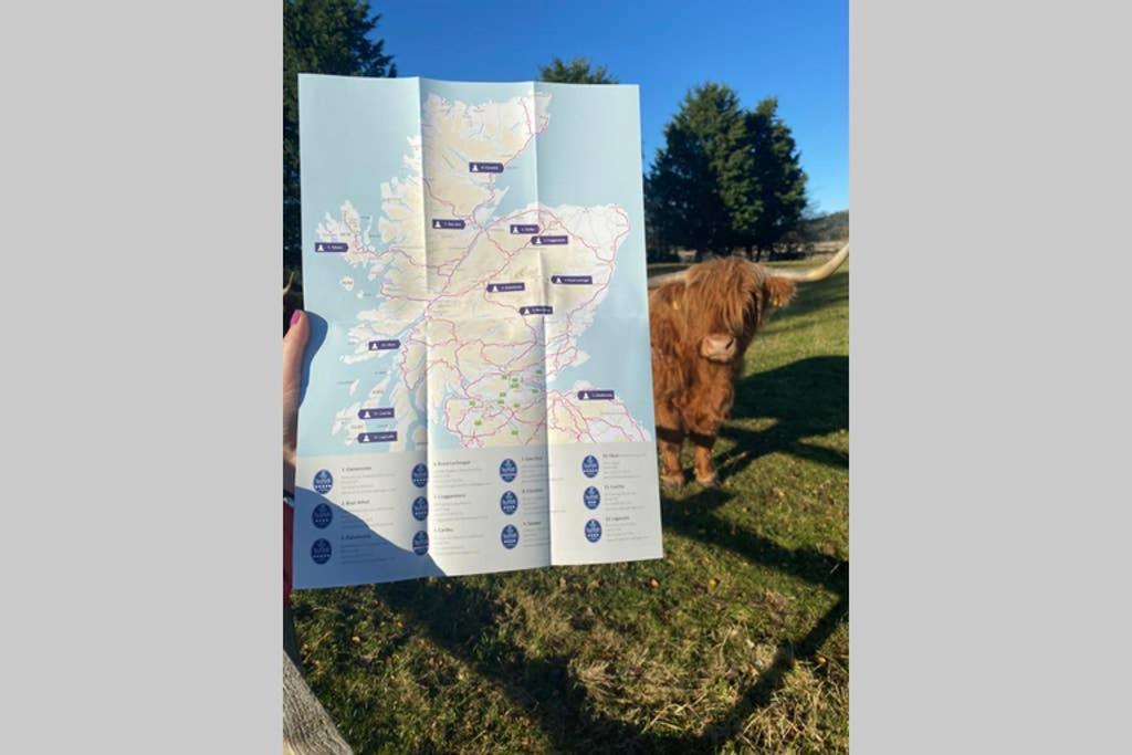 Glampods Glamping Pod - Meet Highland Cows And Sheep Elgin Exterior foto