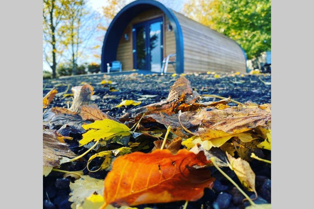 Glampods Glamping Pod - Meet Highland Cows And Sheep Elgin Exterior foto